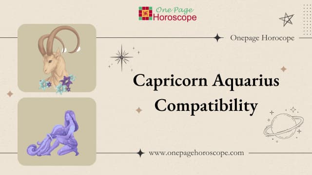 Capricorn And Aquarius compatibility