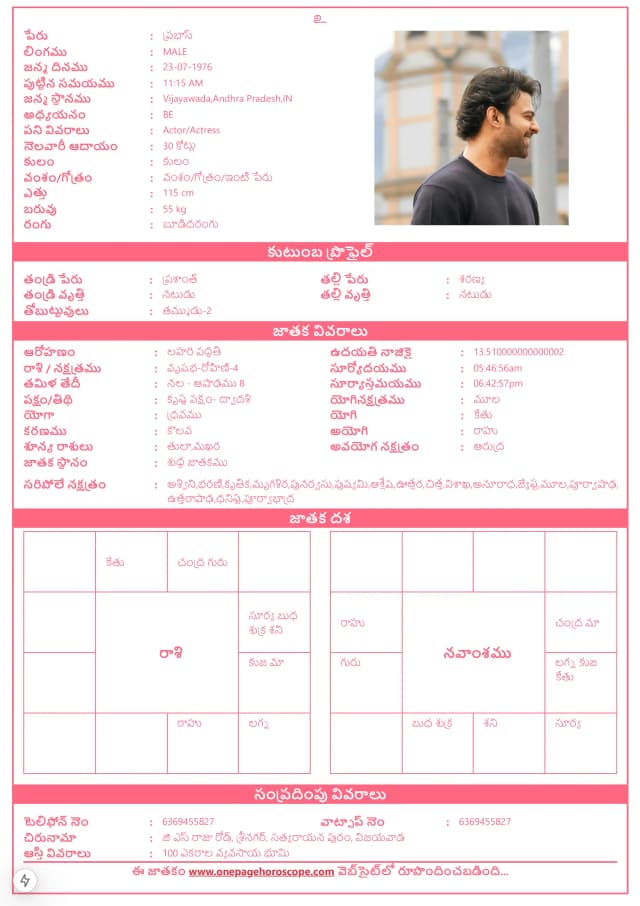 sample bio data template 5